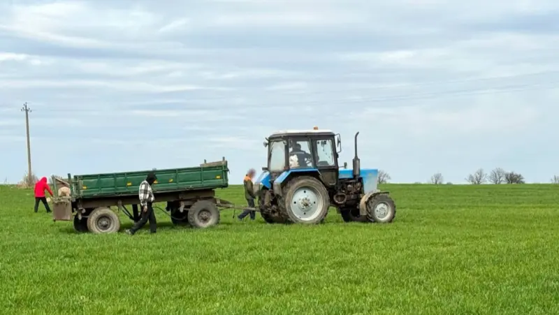 Мосты заключенные ками