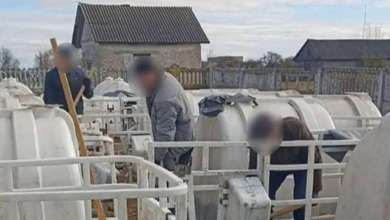 “Труд дисциплинирует”. Около Мостов бывших заключенных отправили собирать камни