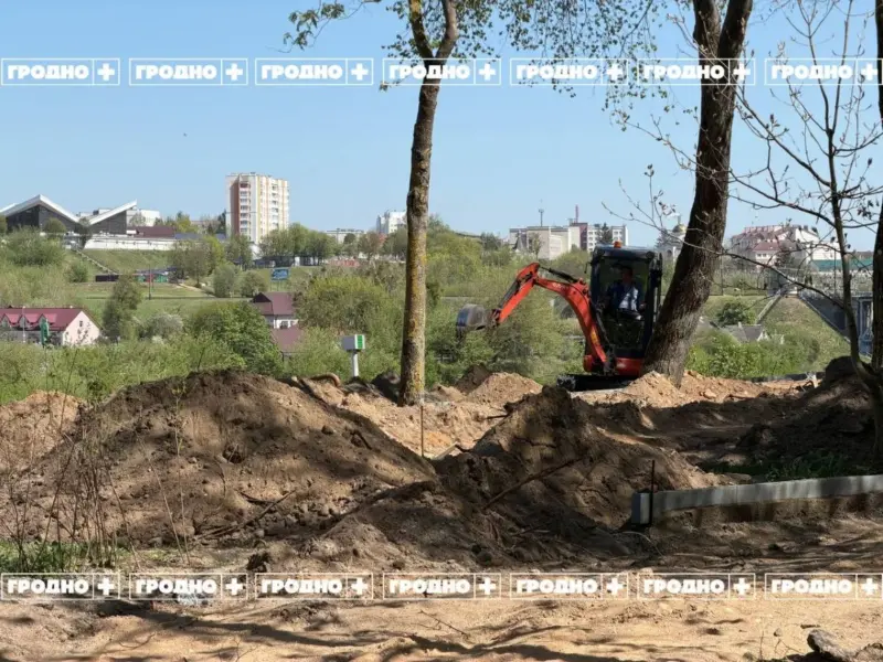 В Гродно продолжают реконструировать сквер на Дарвина. Жители домов жалуются на вырубку деревьев и отсутствие проекта