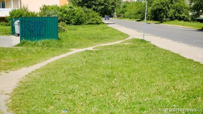 Виноваты пешеходы или проектировщики? Гродненка пожаловалась на вытоптанный газон - власти предложили штрафы