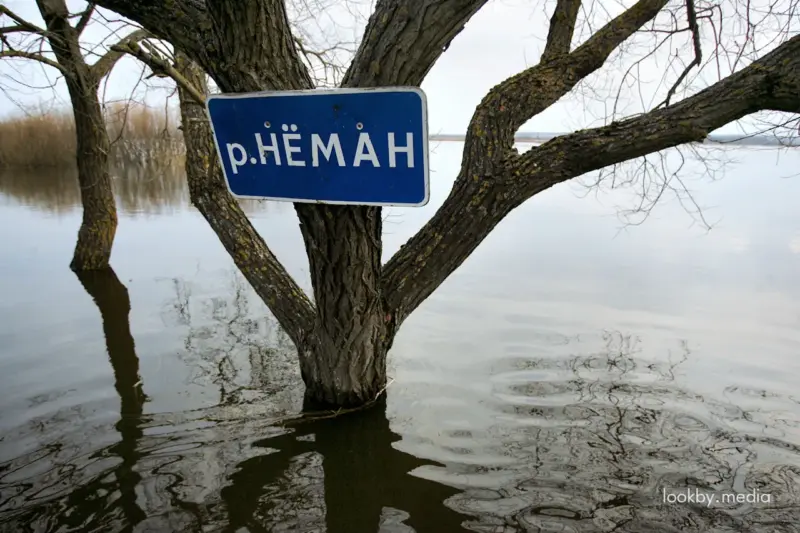 Река Неман © LookByMedia