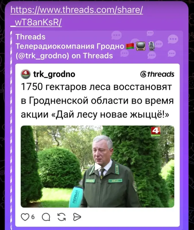 Гектары «усохли». ГосТВ запуталось в цифрах посадок: сначала планировали 1750 га, а позже - только 300