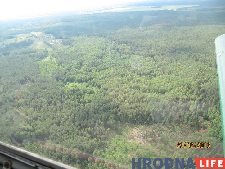 Выяўлялі пашкоджаныя ўчасткі лесу аблётам