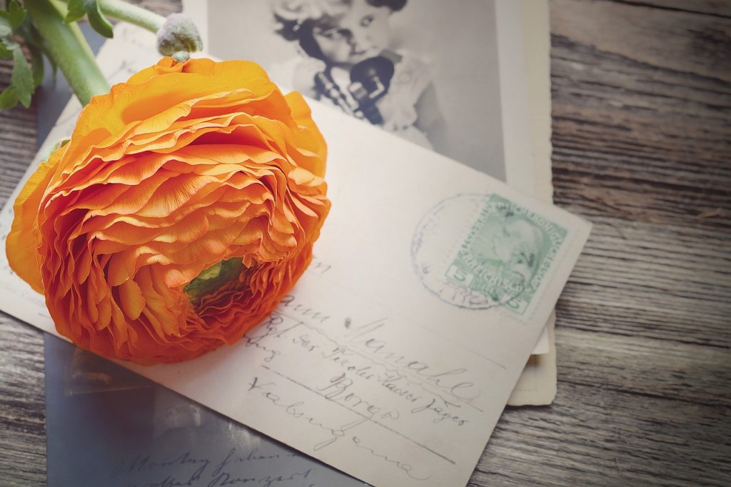 Гродзенцы змогуць бясплатна выслаць паштоўкі