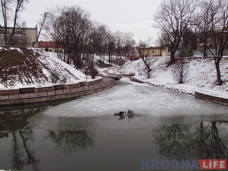 Лебедзь у Гараднічанцы зноў не ўтрымаўся. Аўтар кампазіцыі прапануе змяніць месца Лебедзь у Гараднічанцы зноў не ўтрымаўся. Аўтар кампазіцыі прапануе змяніць месца