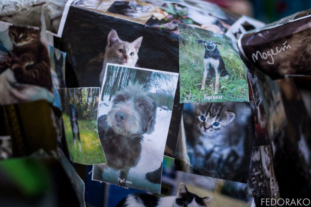 У Old City на дабрачыннай акцыі сабралі двухмесячны рацыён кармоў для жывёл з САГа