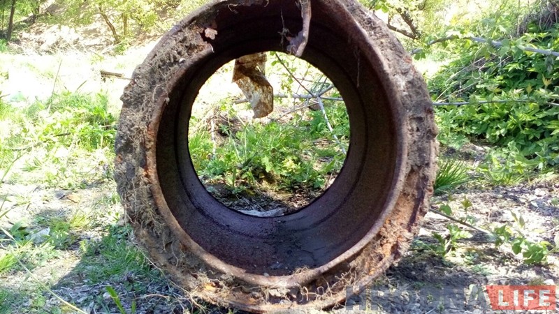 На Фолюшы сабака праваліўся ў адкрыты калодзеж i загінуў. Каго вiнавацiць?