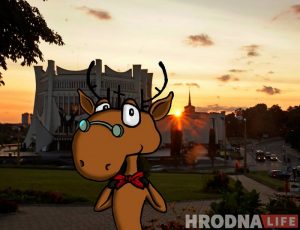 Нашчадак аленя Святога Губерта знайшоўся ў Гродне