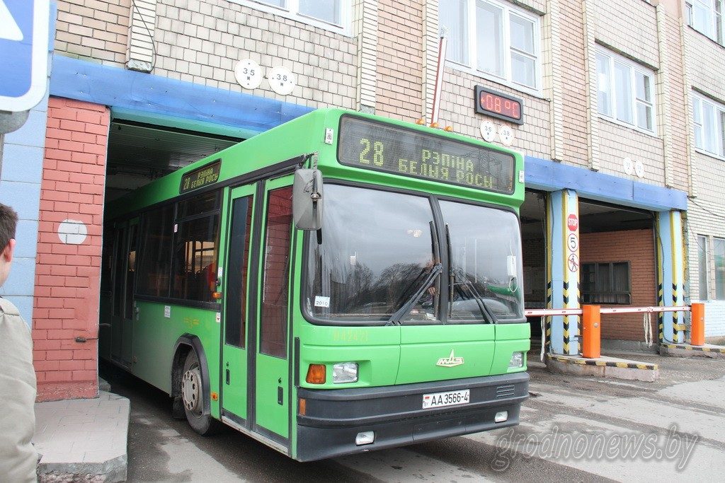 Гродзенскія кіроўцы звярнуліся да прэзідэнта і пагражаюць страйкам: што абурае работнікаў аўтапарку