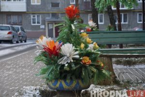 ЖЭК-арт, ЖЭС-арт, кіч - пальмы і кветкі з бутэлек, якія можна знайсці ў дварах гарадоў