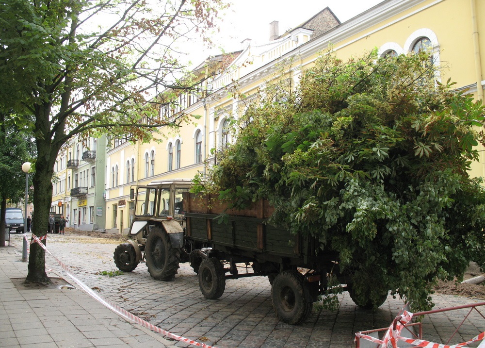 Летам 2007 года ўся зеляніна на Савецкай вуліцы была брутальна выпілавана