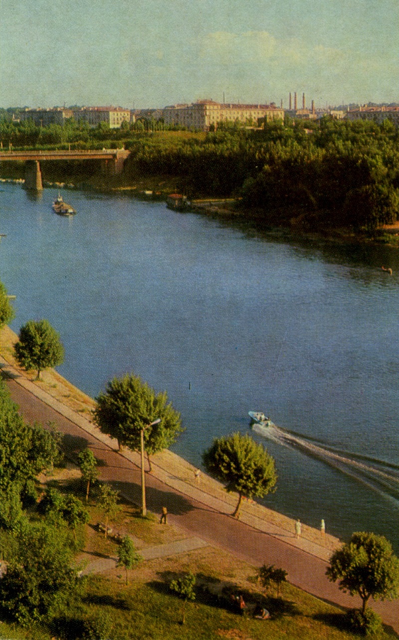 Нашто спілавалі гэтыя цудоўныя ліпы пад замкамі - наогул загадка. Фота 1974 г.