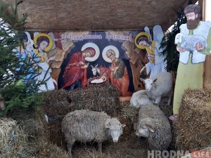 Каля Каложы з'явілася традыцыйная жывая батлейка