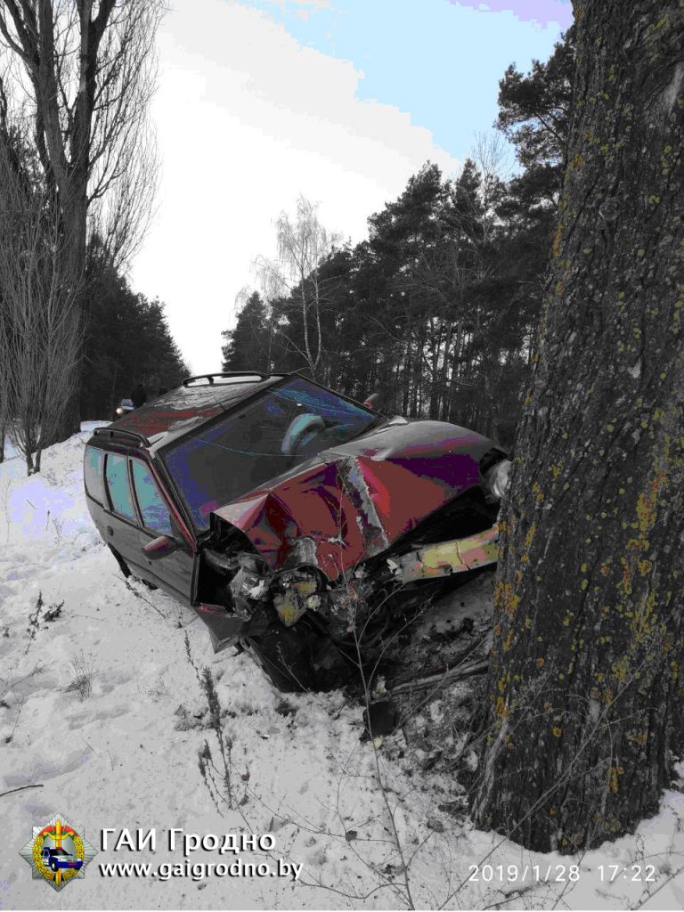 Кіроўца ўрэзаўся ў дрэва і спрабаваў перакласці віну на жонку