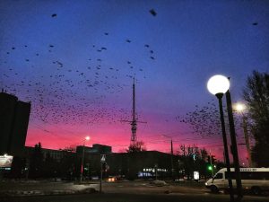 Дзе квітнее Гродна? Месцы для прыгожых фота нанеслі на карту