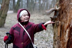 У Жэмыслаўлі перад палацам зламалася каштоўнае дрэва - помнік прыроды рэспубліканскага значэння