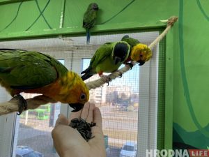 "Нашы довады не былі пачутыя". Аб'яднанне "Экаманіторынг" у Гродне ліквідавалі "Нашы довады не былі пачутыя". Аб'яднанне "Экаманіторынг" у Гродне ліквідавалі