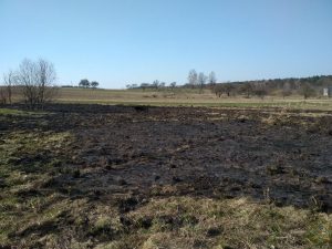 У Гродзенскай вобласці з-за навальніцы адбылося тры пажары У Гродзенскай вобласці з-за навальніцы адбылося тры пажары