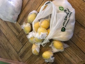 У Гродне пачынаецца продаж бярозавага соку: дзе і за колькі можна яго набыць