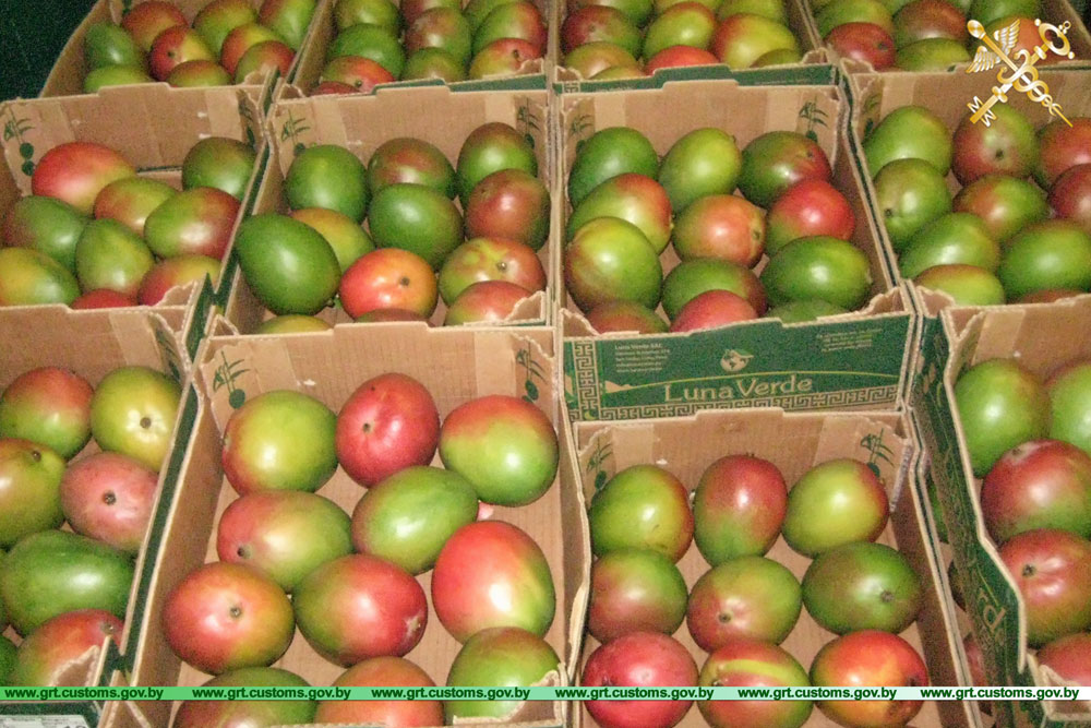 Кіроўца знішчаў дакументы на мяжы, каб ніхто не даведаўся, колькі каштуе яго папайя