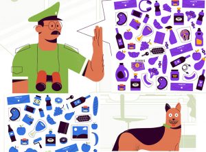 У Гродне стварылі камп’ютарную гульню, якая можа “замяніць” мытню У Гродне стварылі камп’ютарную гульню, якая можа “замяніць” мытню