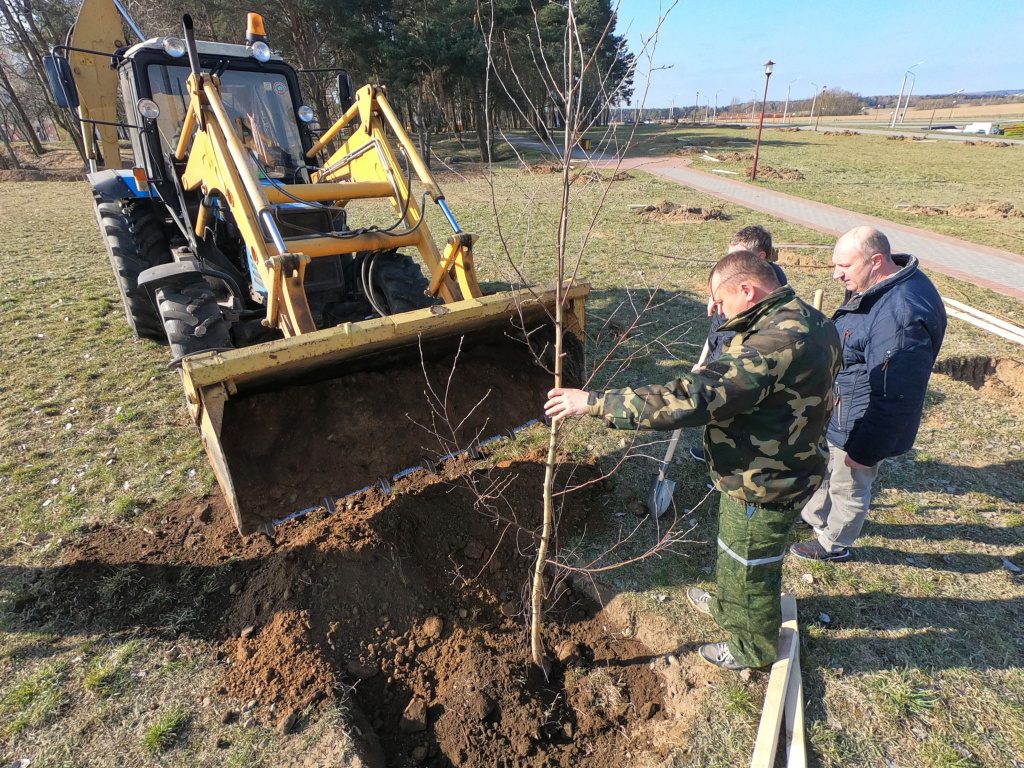 У Альшанцы з'явіцца парк! Яго заклалі да 75-годдзя вобласці