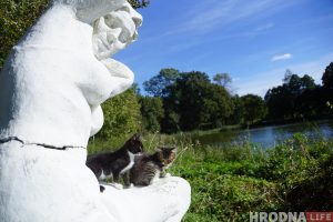 Праекты з Гродзеншчыны - сярод найлепшых па захаванні культурнай спадчыны Праекты з Гродзеншчыны - сярод найлепшых па захаванні культурнай спадчыны