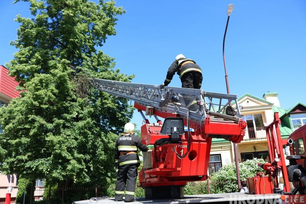 Глядзіце, як у цэнтры Гродна ратавалі Малыша (але ён потым знік)