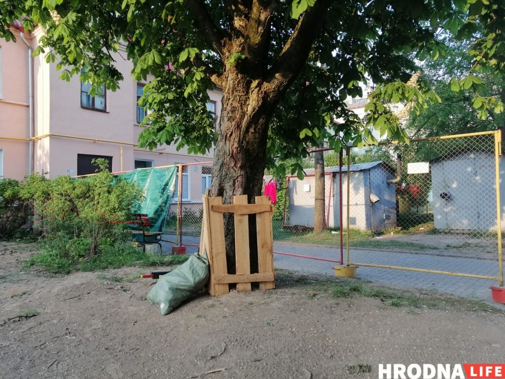 Відэафакт: Ламалі вішню экскаватарам, бо не было пілаў Відэафакт: Ламалі вішню экскаватарам, бо не было пілаў