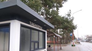 Пад Гродна вырошчваюць ягады годжы - упершыню ў Беларусі Пад Гродна вырошчваюць ягады годжы - упершыню ў Беларусі