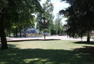 Пекла па-гродзенску. Як дрэвы маглі б уратаваць нас ад спёкі, але іх не хапае Пекла па-гродзенску. Як дрэвы маглі б уратаваць нас ад спёкі, але іх не хапае