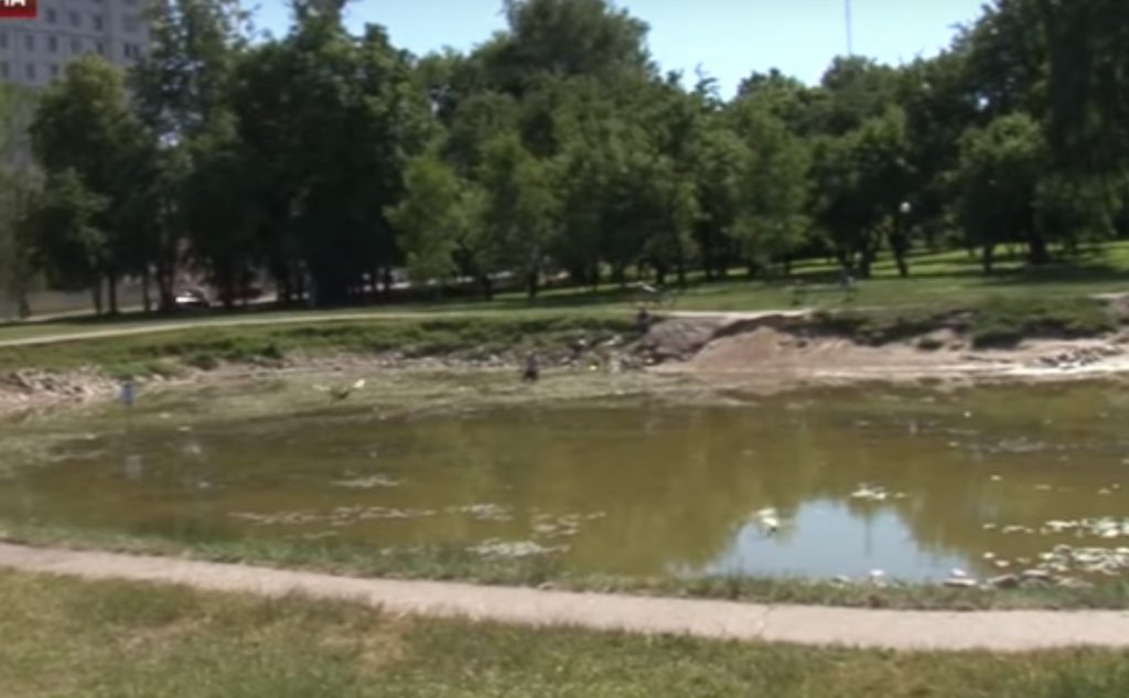 У Гродне засыхаюць сажалкі і сохнуць дрэвы. ЖКГ: запампоўванне вады немэтазгоднае