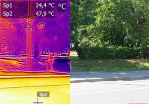 жара спёка жаркая погода лето