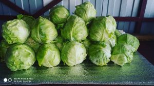 Сяргей Марозаў здымае для гродзенскай міліцыі "блокбастар"