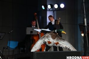 Застрэліць качку на вячэру і станцаваць вальс. У парку Жылібера гралі Штрауса для ўсіх Застрэліць качку на вячэру і станцаваць вальс. У парку Жылібера гралі Штрауса для ўсіх