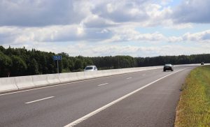 Узяла бясплатна, спрабавала прадаць як пародзістую. Як гродзенка спрабавала зарабіць на котцы Узяла бясплатна, спрабавала прадаць як пародзістую. Як гродзенка спрабавала зарабіць на котцы