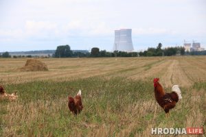 "Мае атамы задаволеныя". Школу, садок, бальніцу і ядзернае паліва чакаюць у Астраўцы гэтай восенню "Мае атамы задаволеныя". Школу, садок, бальніцу і ядзернае паліва чакаюць у Астраўцы гэтай восенню