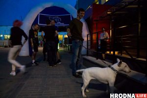 Фестываль сыру прайшоў на Савецкай плошчы ў Гродне Фестываль сыру прайшоў на Савецкай плошчы ў Гродне