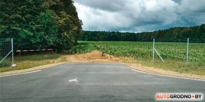 Там, дзе збілі зубра, на трасу выйшлі трое зубранятаў. Пільнуйцеся! Там, дзе збілі зубра, на трасу выйшлі трое зубранятаў. Пільнуйцеся!