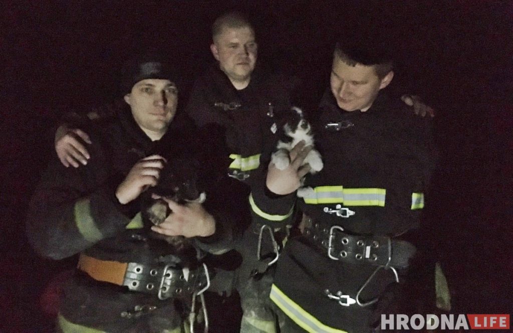 Чатыры гадзіны ратавальнікі дапамагалі гродзенцам выратаваць шчанюкоў, якія захраслі ў бетоннай пліце