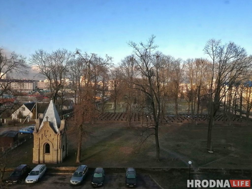 На вайсковых могілках хочуць высячы дрэвы: жыхароў Белуша клічуць на абмеркаванне