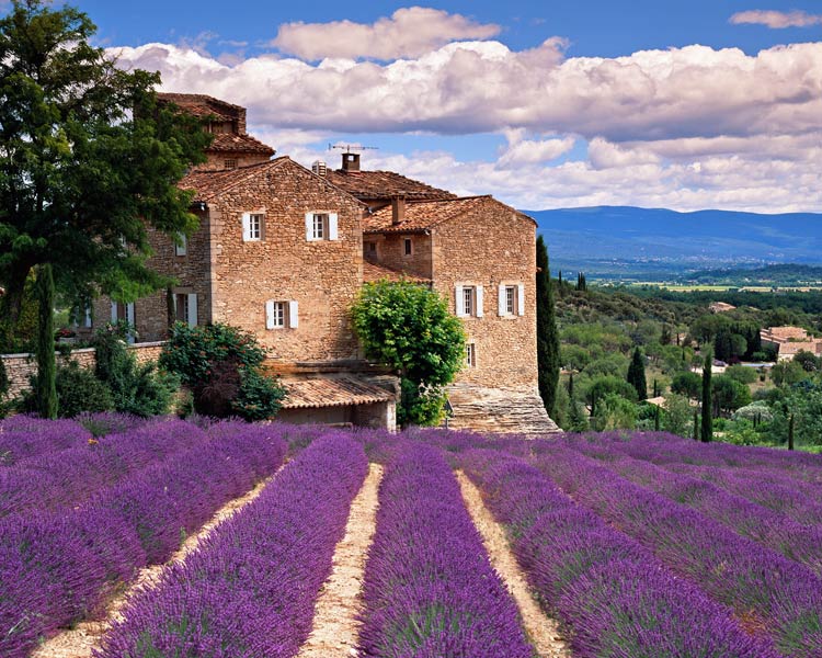 Как здорово провести время в Тоскане?