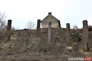 Участак з відам на замкі: навошта на Леванабярэжнай спілавалі старыя таполі? Участак з відам на замкі: навошта на Леванабярэжнай спілавалі старыя таполі?