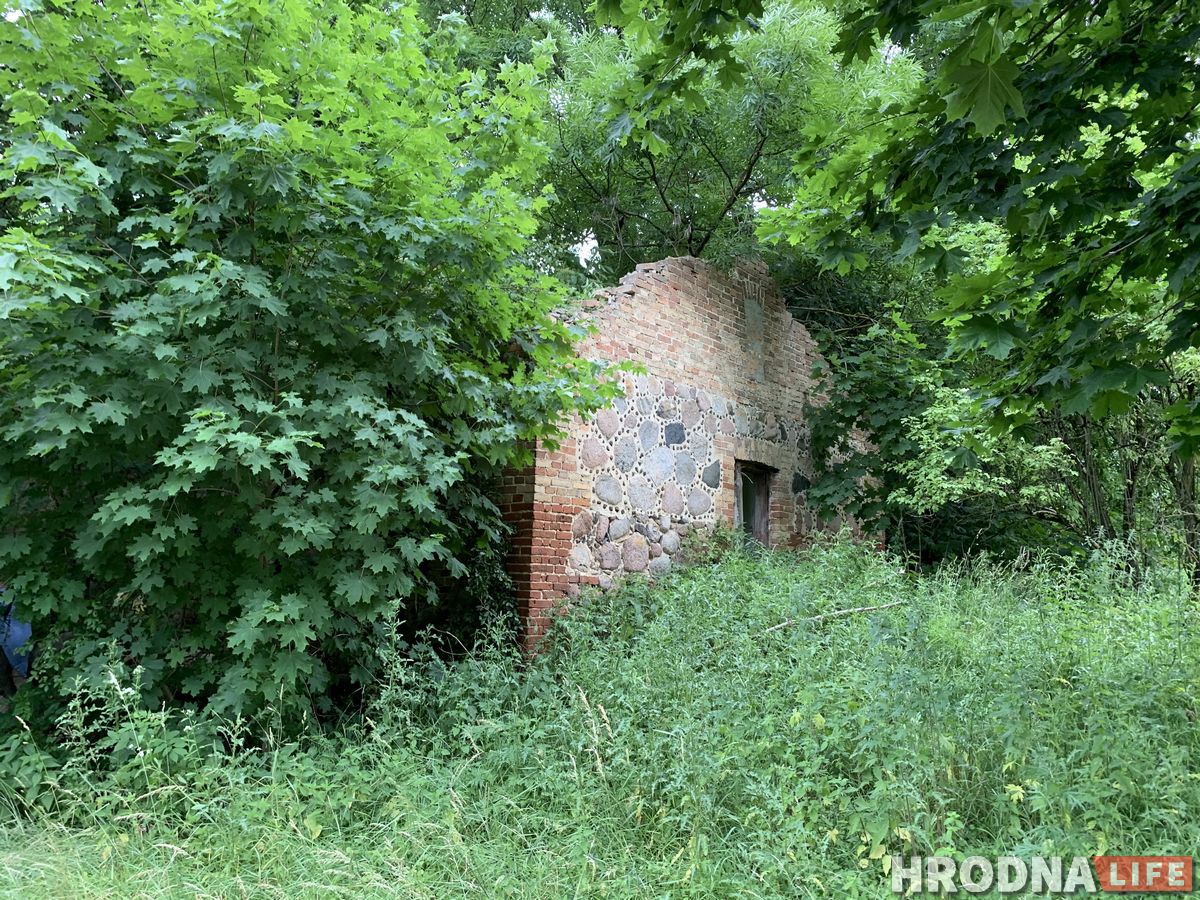 Палац у лясных джунглях,  пешы мост і найвышэйшы млын Беларусі: падарожжа на 12 цікавостак за 1 дзень