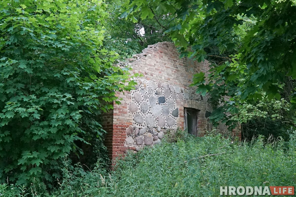 Палац у лясных джунглях,  пешы мост і найвышэйшы млын Беларусі: падарожжа на 12 цікавостак за 1 дзень