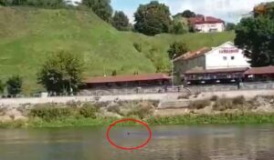 Яшчэ адзін гродзенец пераплыў Нёман, каб выратавацца ад міліцыі. Але яго затрымалі Яшчэ адзін гродзенец пераплыў Нёман, каб выратавацца ад міліцыі. Але яго затрымалі