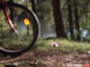 Самы шчаслівы транспарт для "Шляху Тызенгаўза". Пад Гродна адкрылі новы веламаршрут Самы шчаслівы транспарт для "Шляху Тызенгаўза". Пад Гродна адкрылі новы веламаршрут