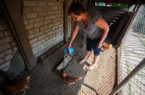 «Не ўяўляю, як мама там трымаецца». Пенсіянерку з Абухава затрымаў КДБ па падазрэнні ў тэрарызме Галина Дербыш. Фото: "Радыё Свабода"