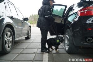 Успеть за 10 дней: почему эти гродненцы уехали из Беларуси до закрытия границ собаки граница кинологи