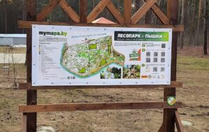 «Гродно станет визиткой». Гродненец продвигает спортивное ориентирование с помощью проекта “Мая Мапа” Спортивное ориентирование. Стенд проекта "Мая Мапа" в Пышках. Фото: Дмитрий Крапивко